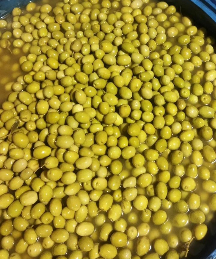 زیتون کنسروی با هسته