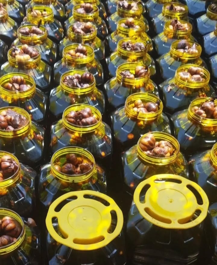 سیر ترشی بسیار مرغوب و درجه یک